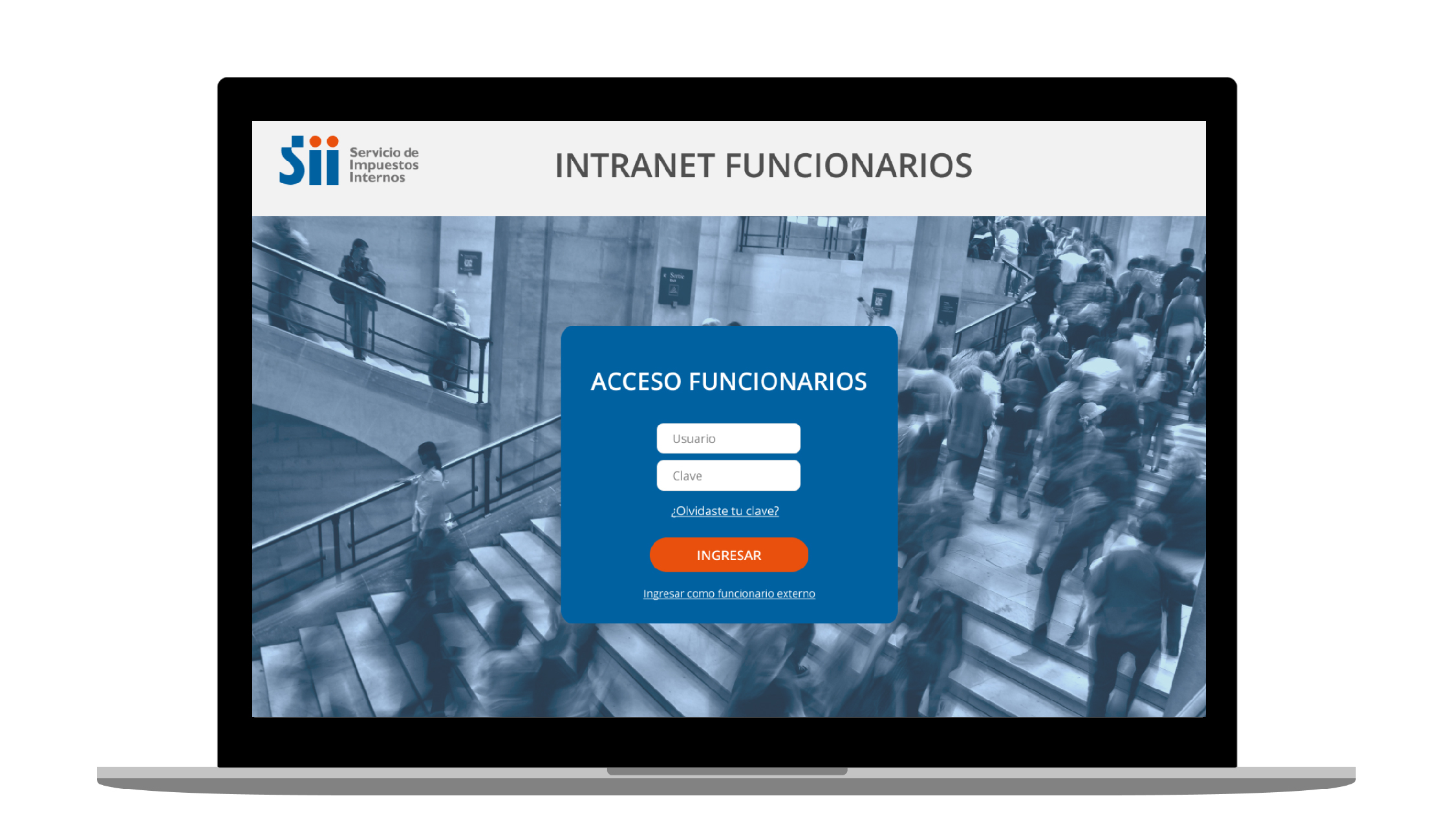 Prototipo intranet